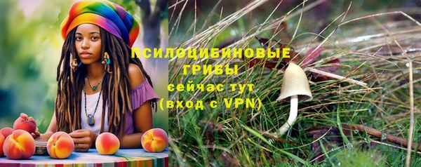 мдпв Надым