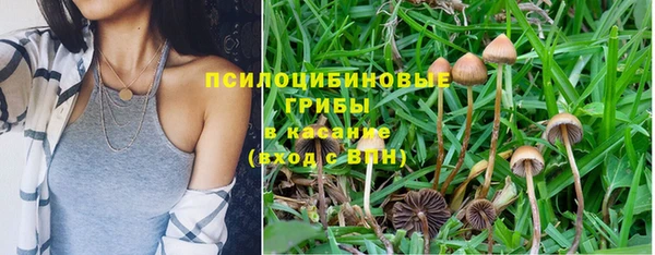 мяу мяу мука Нефтегорск