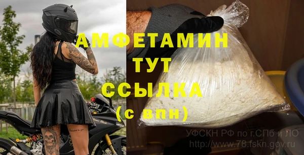 дмт Нея